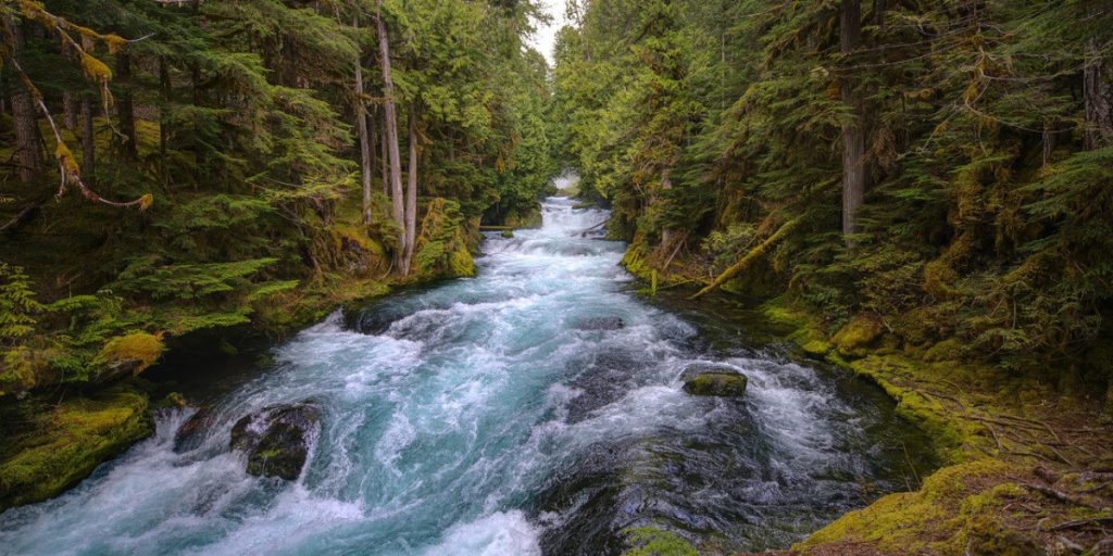 Co oznacza sen o rzece