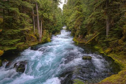 Co oznacza sen o rzece